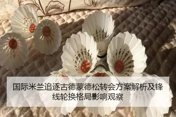 国际米兰追逐古德蒙德松转会方案解析及锋线轮换格局影响观察（aoko）