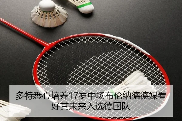 多特悉心培养17岁中场布伦纳德德媒看好其未来入选德国队（aoko）